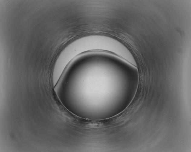 X0000115240415200911131708