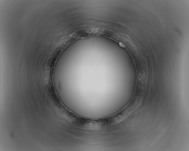 X0000115240416200911131708