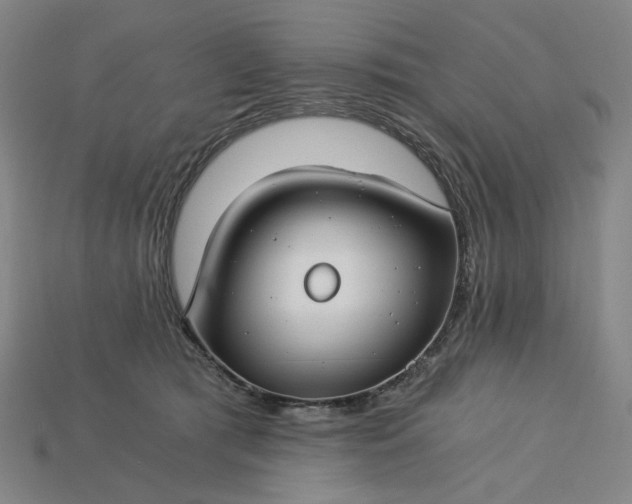 X0000115240417200911131708