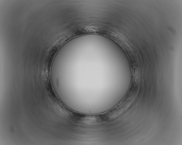 X0000115240418200911131708