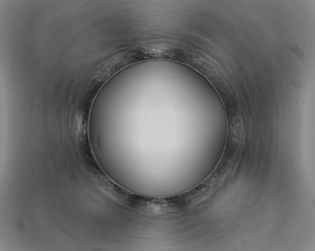 X0000115240420200911131708