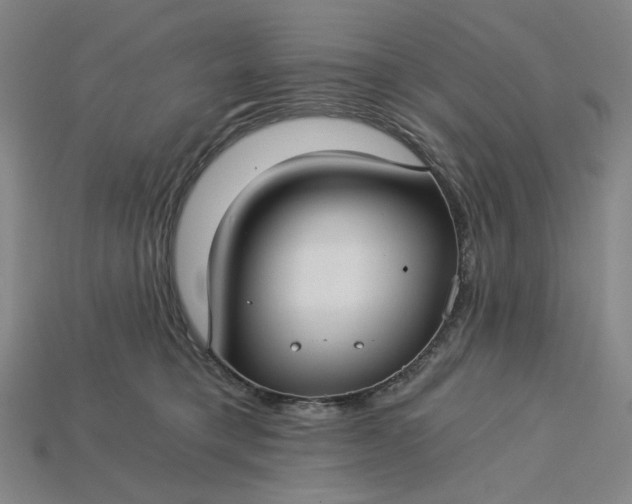 X0000115240421200911131708