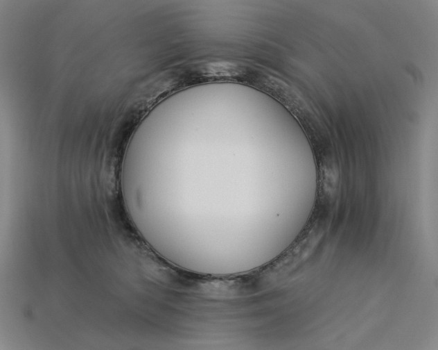 X0000115240422200911131708