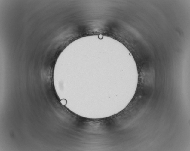 X0000115240423200911131708