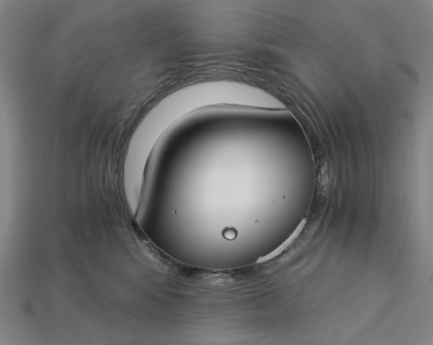 X0000115240424200911131708