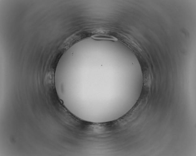 X0000115240425200911131708