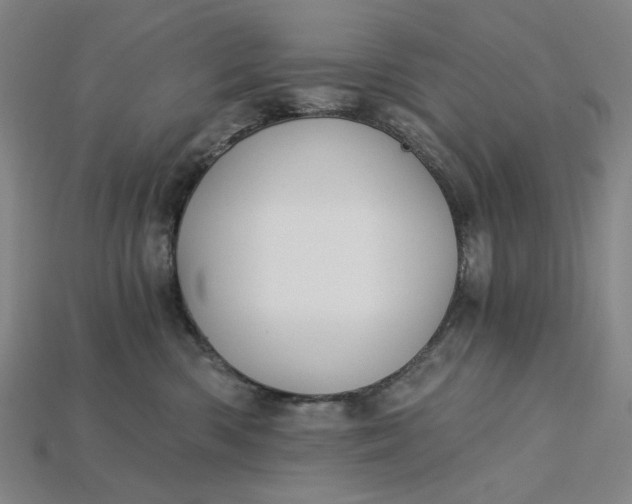 X0000115240426200911131708
