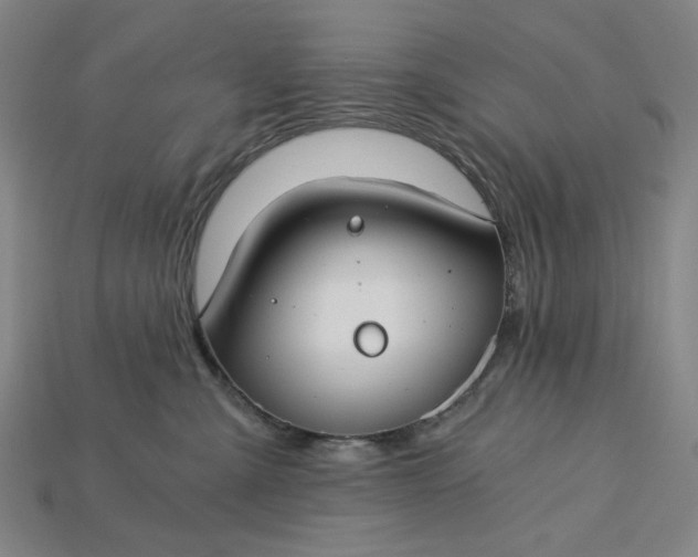 X0000115240427200911131708
