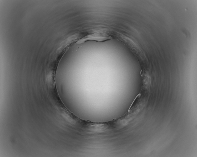 X0000115240428200911131708