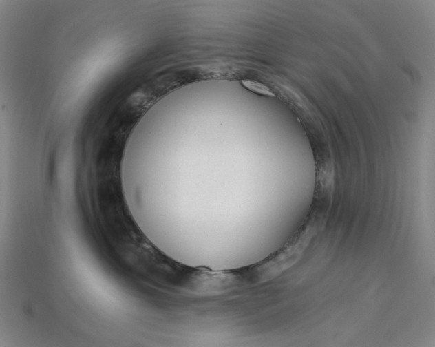 X0000115240429200911131708