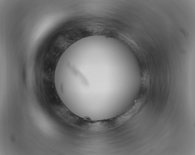 X0000115240430200911131708