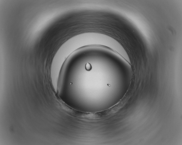 X0000115240431200911131708