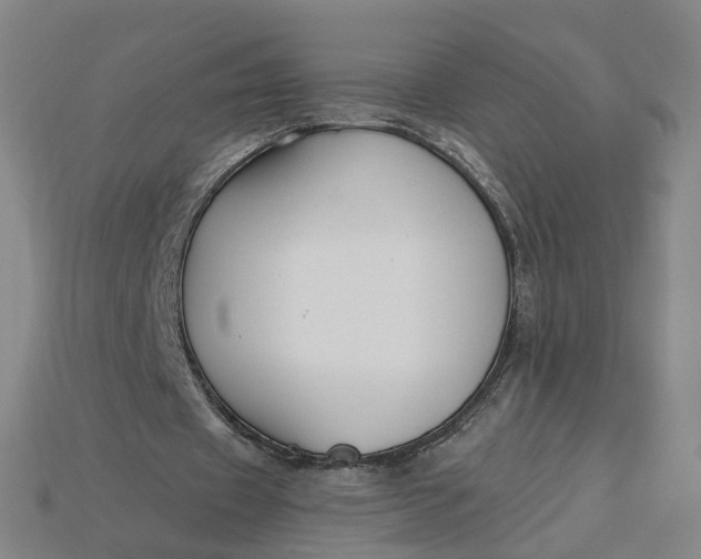 X0000115240433200911131707