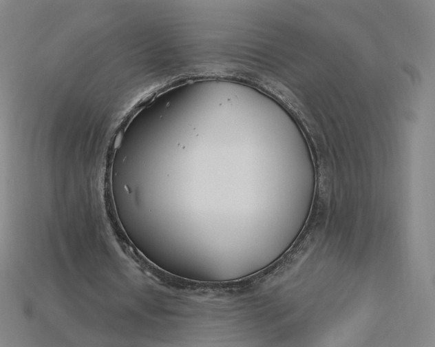 X0000115240434200911131707
