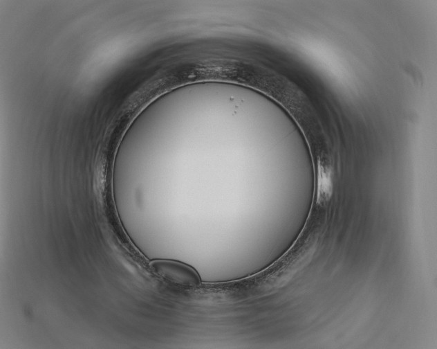 X0000115240435200911131707
