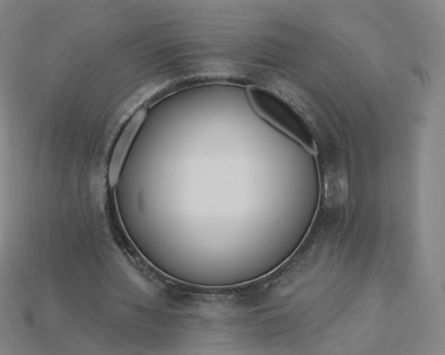 X0000115240436200911131707