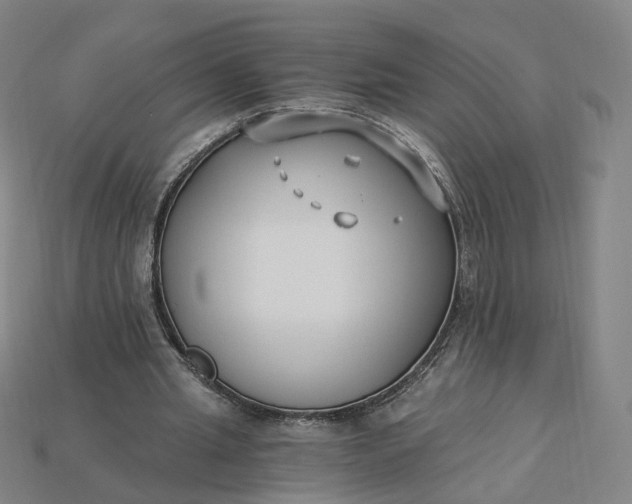 X0000115240437200911131707