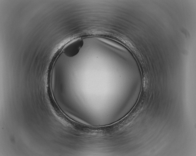 X0000115240438200911131707