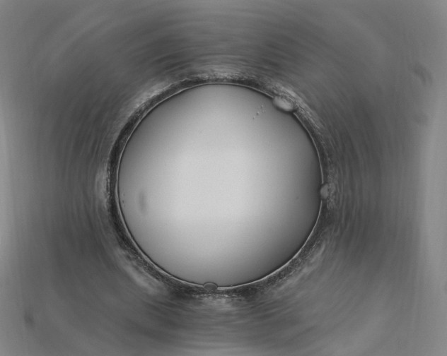 X0000115240439200911131707