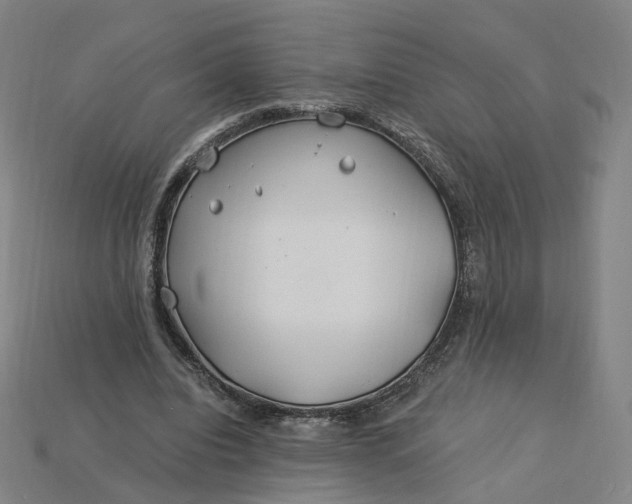X0000115240440200911131707