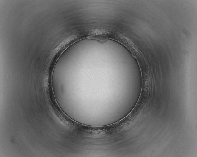 X0000115240443200911131707