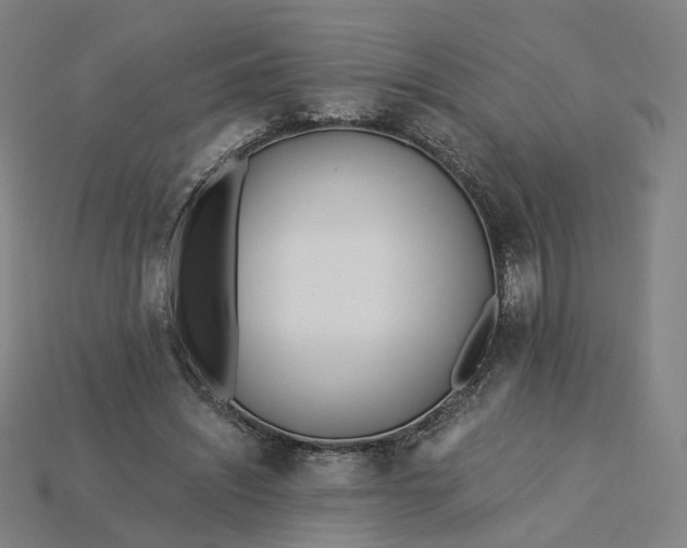 X0000115240444200911131707