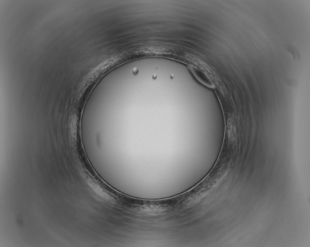 X0000115240445200911131708