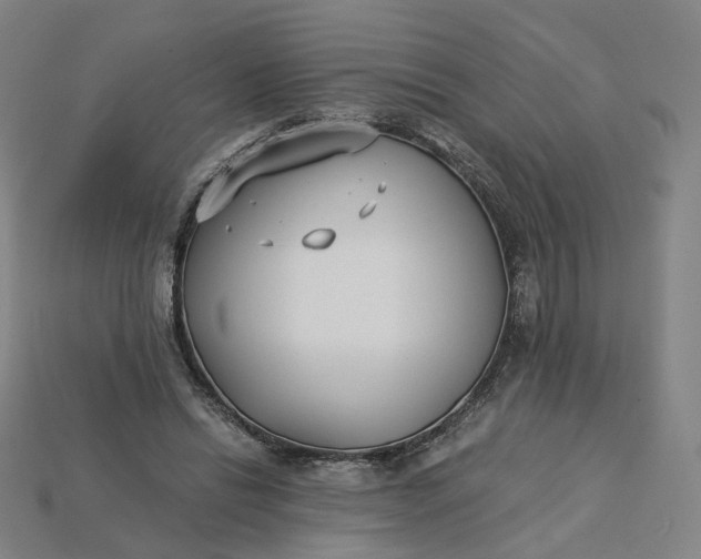 X0000115240446200911131708