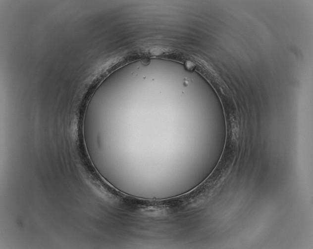 X0000115240447200911131708