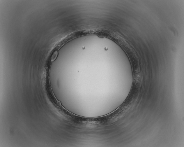 X0000115240448200911131708