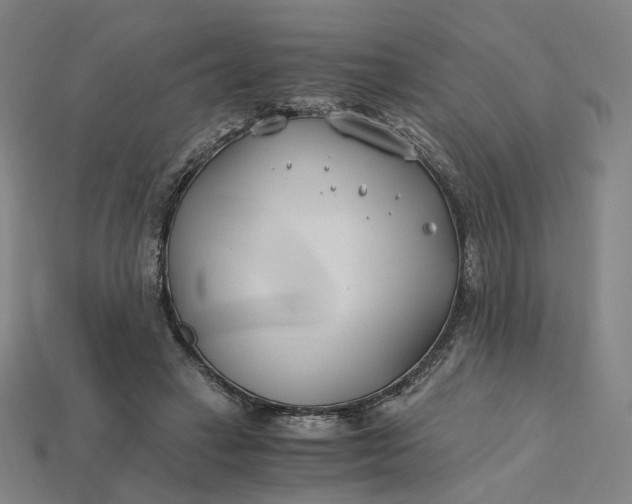 X0000115240449200911131708
