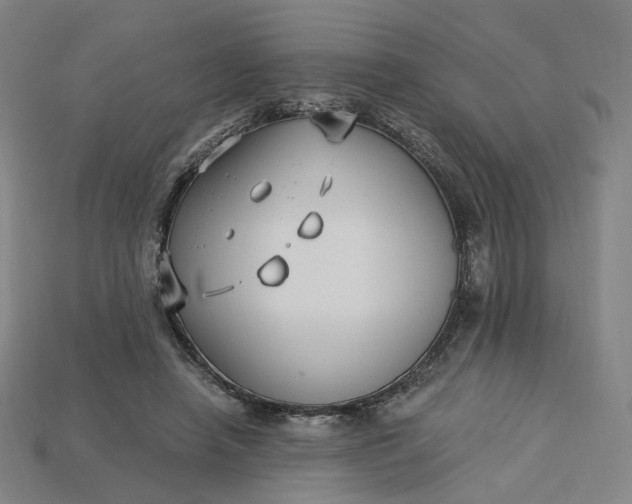X0000115240450200911131708