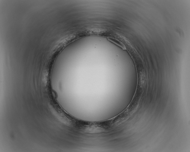 X0000115240451200911131708