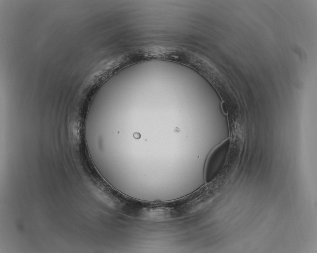 X0000115240452200911131708
