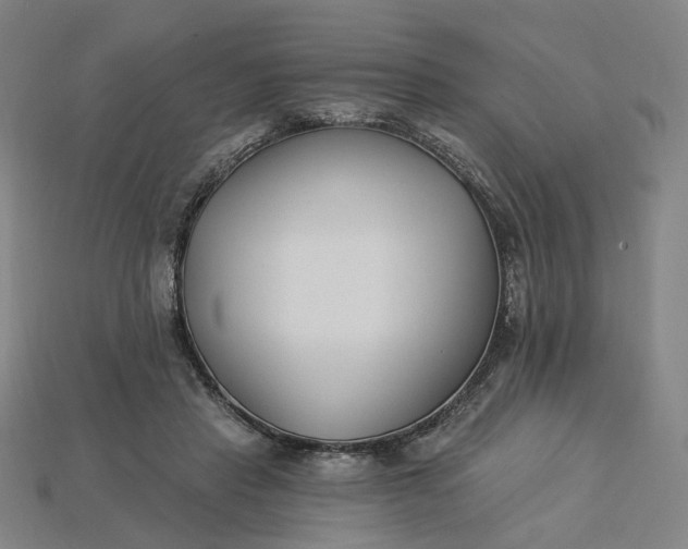 X0000115240453200911131708