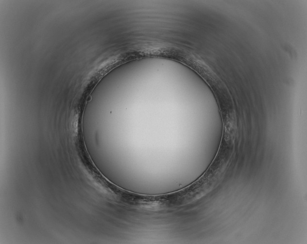 X0000115240454200911131708