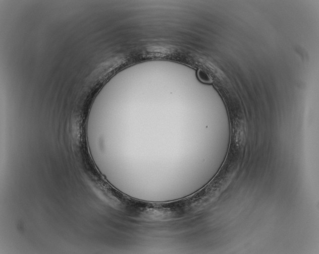 X0000115240455200911131708