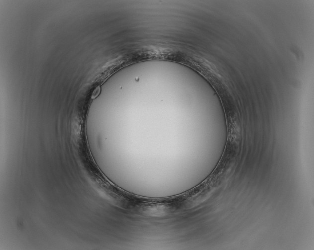X0000115240456200911131708