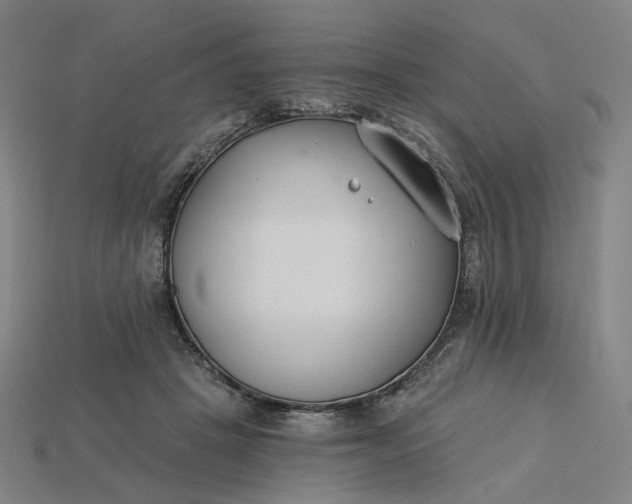 X0000115240457200911131708