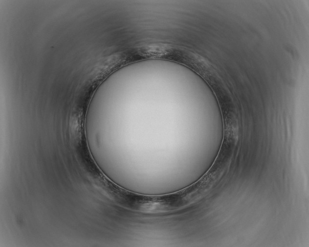 X0000115240460200911131708