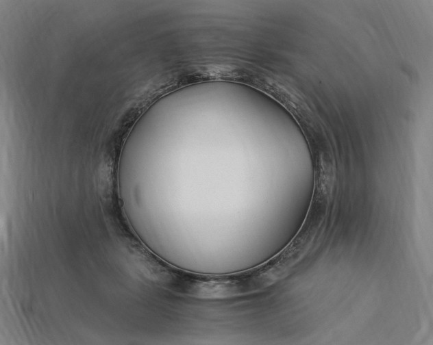 X0000115240461200911131708