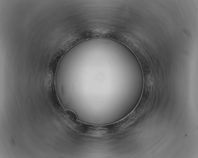 X0000115240463200911131708