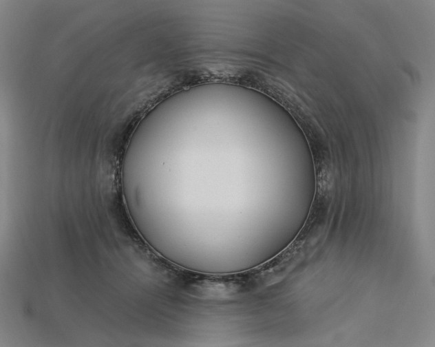 X0000115240464200911131708