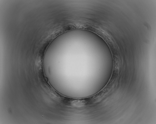 X0000115240465200911131708