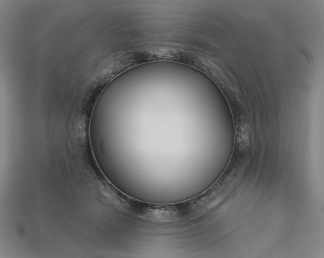 X0000115240466200911131708