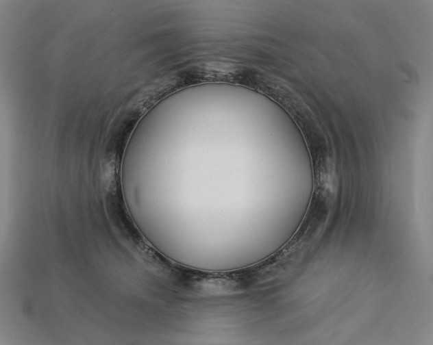X0000115240468200911131708