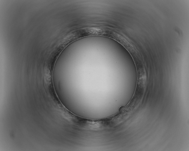 X0000115240469200911131708