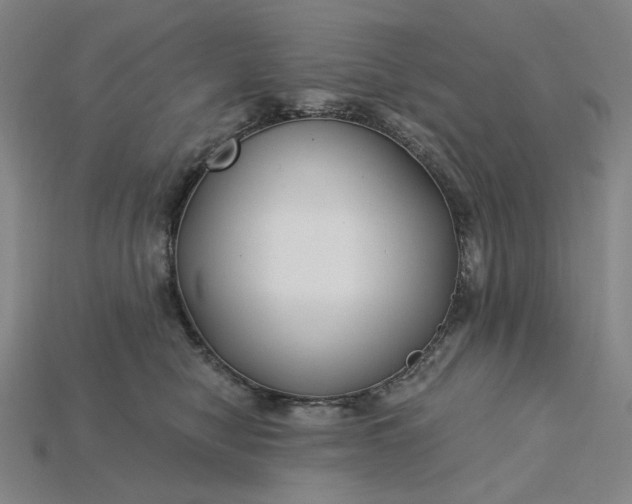 X0000115240470200911131708