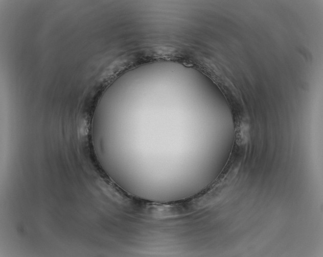 X0000115240472200911131708