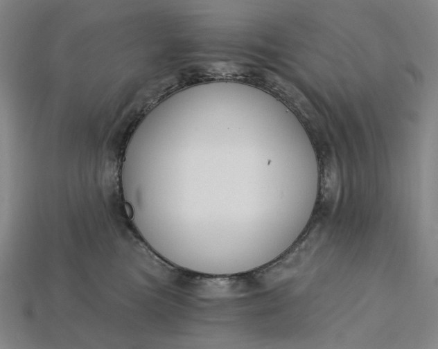 X0000115240473200911131708